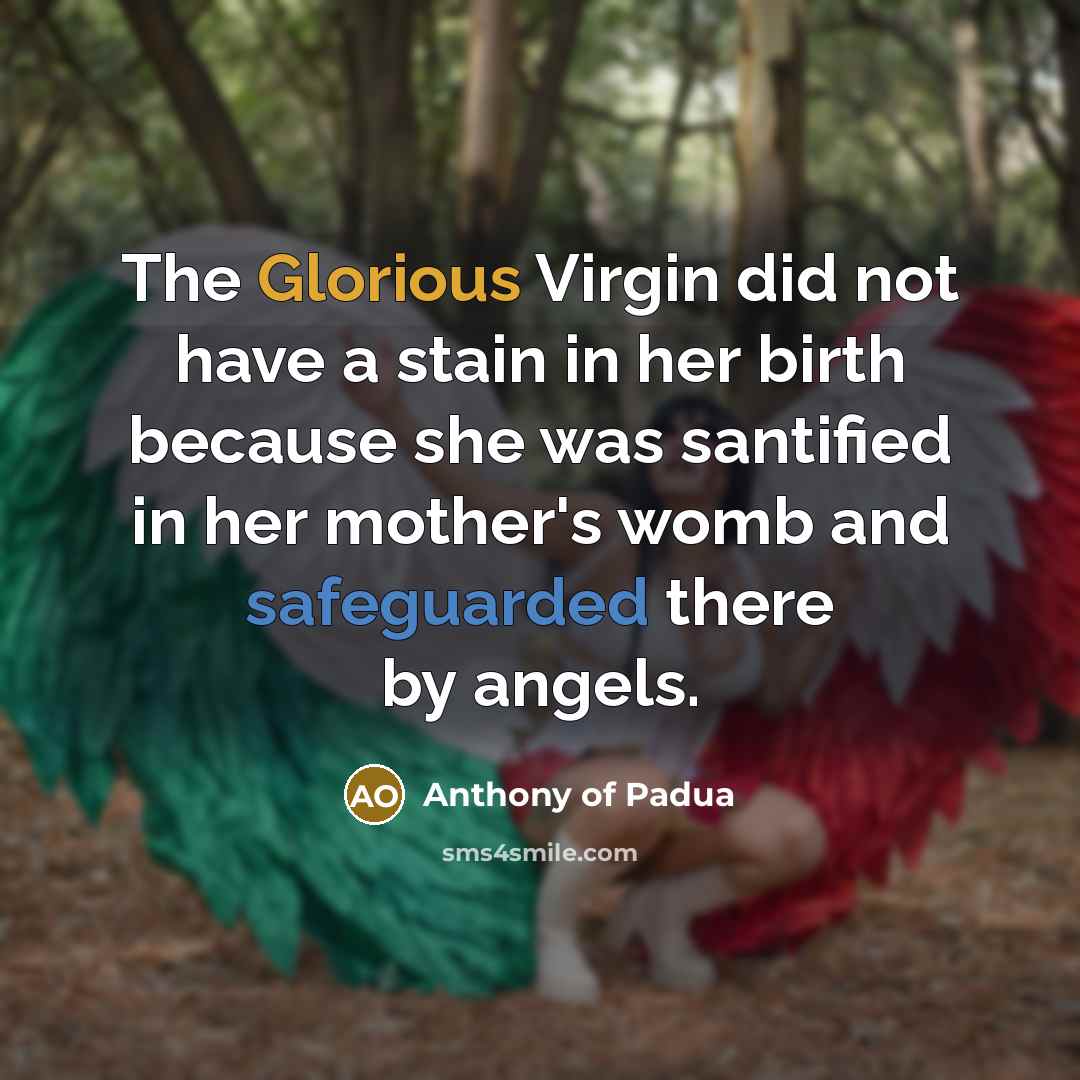 “The Glorious Virgin did not have a stain in her birth because she was santified in her mother's womb and safeguarded there by angels.” quote by Anthony of Padua