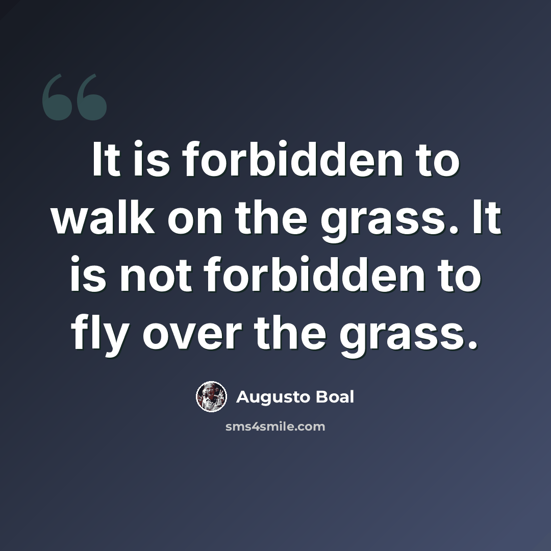 “It is forbidden to walk on the grass. It is not forbidden to fly over the grass.” quote by Augusto Boal