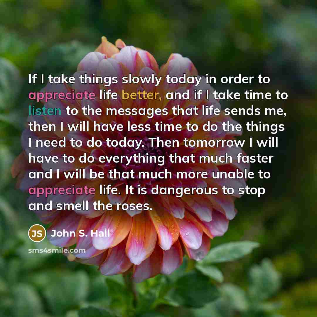 “If I take things slowly today in order to appreciate life better, and if I take time to listen to the messages that life sends me, then I will have less time to do the things I need to do today. Then tomorrow I will have to do everything that much faster and I will be that much more unable to…” quote by John S. Hall