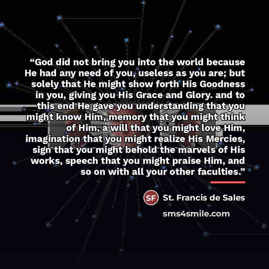 “God did not bring you into the world because He had any need of you, useless as you are; but solely that He might show forth His Goodness in you, giving you His Grace and Glory. and to this end He gave you understanding that you might know Him, memory that you might think of Him, a will that you…” quote by St. Francis de Sales