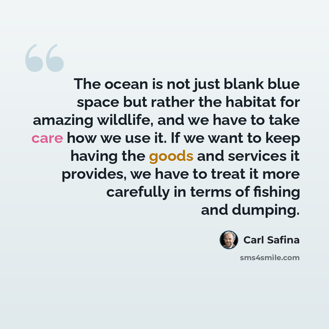 “The ocean is not just blank blue space but rather the habitat for amazing wildlife, and we have to take care how we use it. If we want to keep having the goods and services it provides, we have to treat it more carefully in terms of fishing and dumping.” quote by Carl Safina