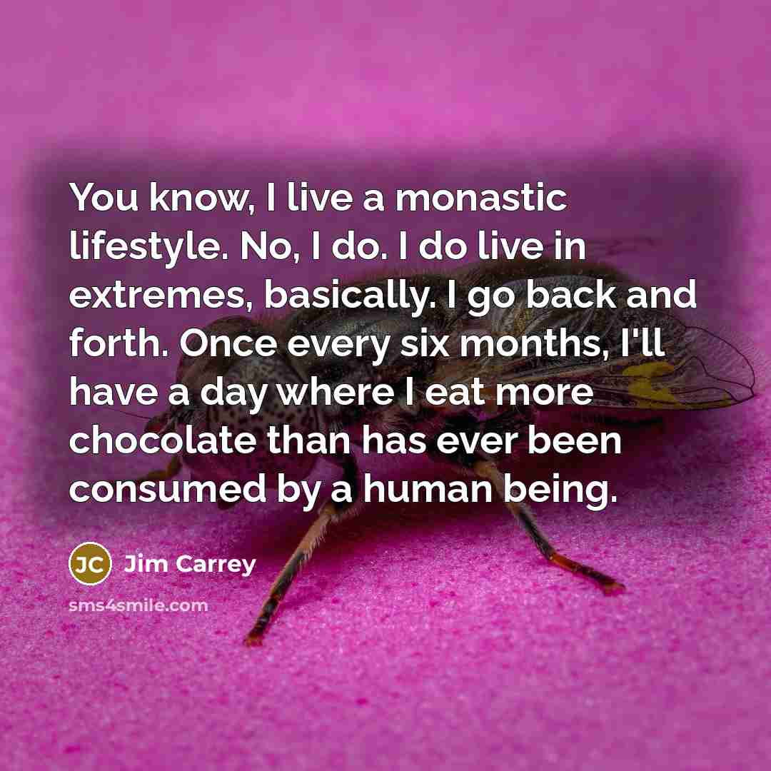 “You know, I live a monastic lifestyle. No, I do. I do live in extremes, basically. I go back and forth. Once every six months, I'll have a day where I eat more chocolate than has ever been consumed by a human being.” quote by Jim Carrey