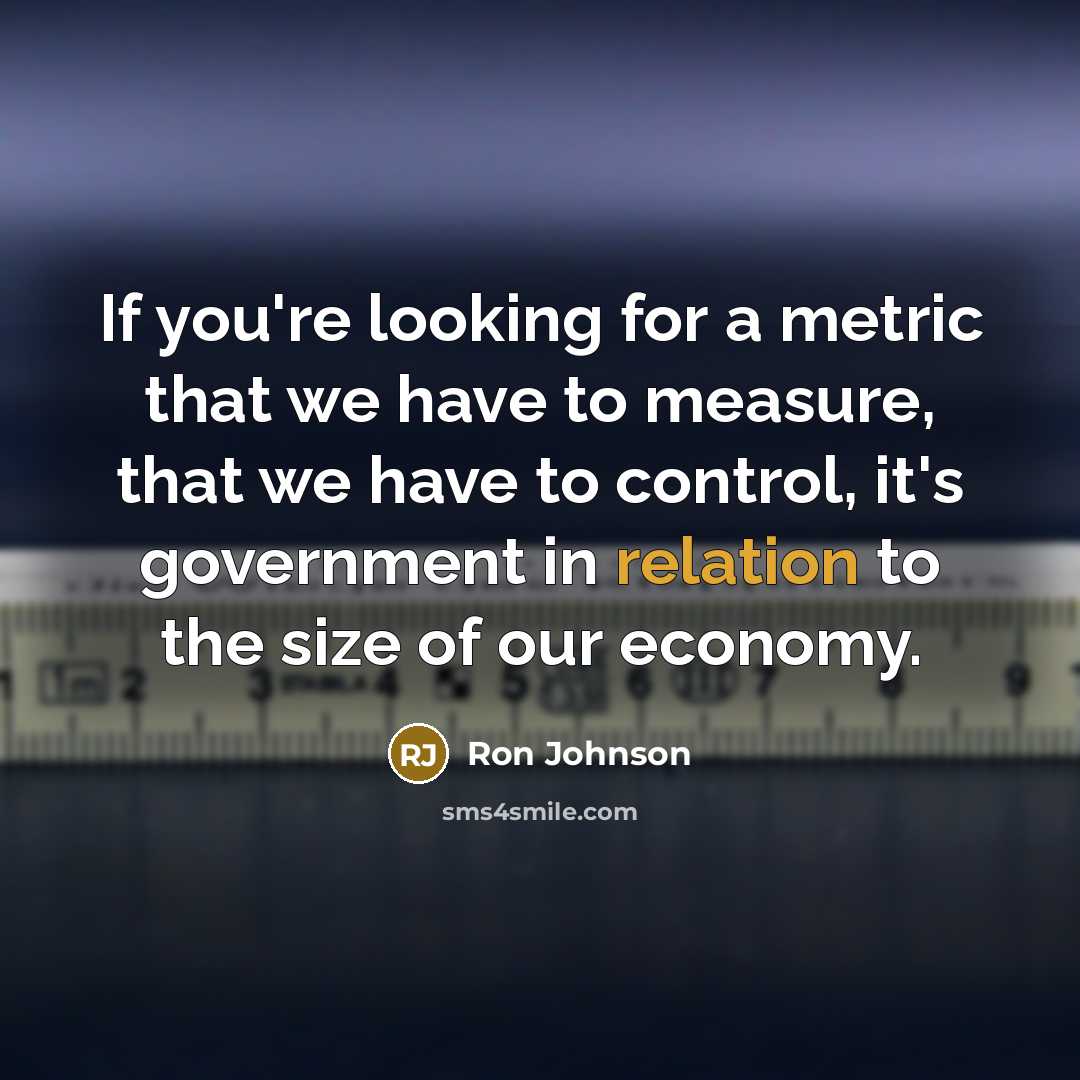 “If you're looking for a metric that we have to measure, that we have to control, it's government in relation to the size of our economy.” quote by Ron Johnson