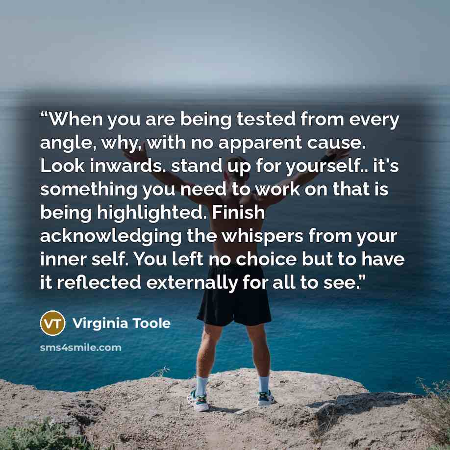 “When you are being tested from every angle, why, with no apparent cause. Look inwards. stand up for yourself.. it's something you need to work on that is being highlighted. Finish acknowledging the whispers from your inner self. You left no choice but to have it reflected externally for all to see.” quote by Virginia Toole