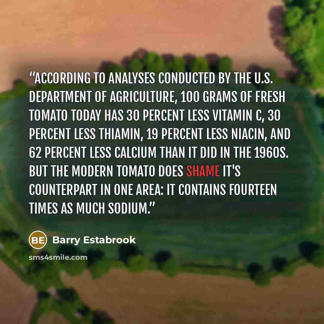 “According to analyses conducted by the U.S. Department of Agriculture, 100 grams of fresh tomato today has 30 percent less vitamin C, 30 percent less thiamin, 19 percent less niacin, and 62 percent less calcium than it did in the 1960s. But the modern tomato does shame it's counterpart in one…” quote by Barry Estabrook