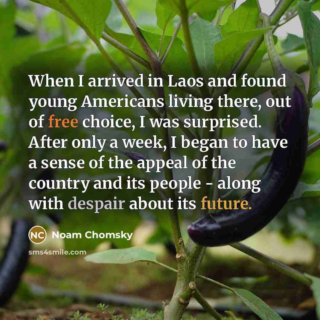 “When I arrived in Laos and found young Americans living there, out of free choice, I was surprised. After only a week, I began to have a sense of the appeal of the country and its people - along with despair about its future.” quote by Noam Chomsky