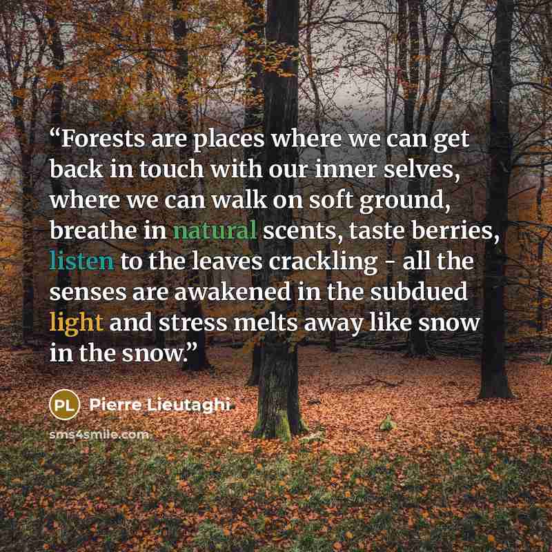 “Forests are places where we can get back in touch with our inner selves, where we can walk on soft ground, breathe in natural scents, taste berries, listen to the leaves crackling - all the senses are awakened in the subdued light and stress melts away like snow in the snow.” quote by Pierre Lieutaghi