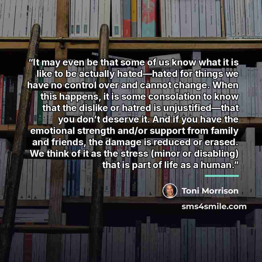 “It may even be that some of us know what it is like to be actually hated—hated for things we have no control over and cannot change. When this happens, it is some consolation to know that the dislike or hatred is unjustified—that you don’t deserve it. And if you have the emotional strength and/or…” quote by Toni Morrison