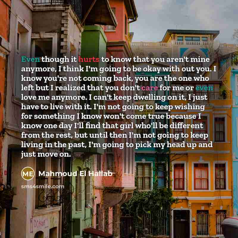 “Even though it hurts to know that you aren't mine anymore, I think I'm going to be okay with out you. I know you're not coming back, you are the one who left but I realized that you don't care for me or even love me anymore. I can't keep dwelling on it, I just have to live with it. I'm not going…” quote by Mahmoud El Hallab