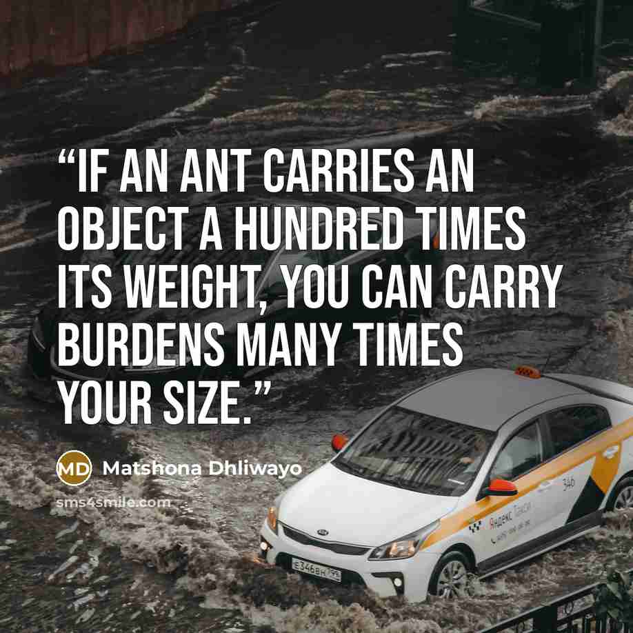 “If an ant carries an object a hundred times its weight, you can carry burdens many times your size.” quote by Matshona Dhliwayo