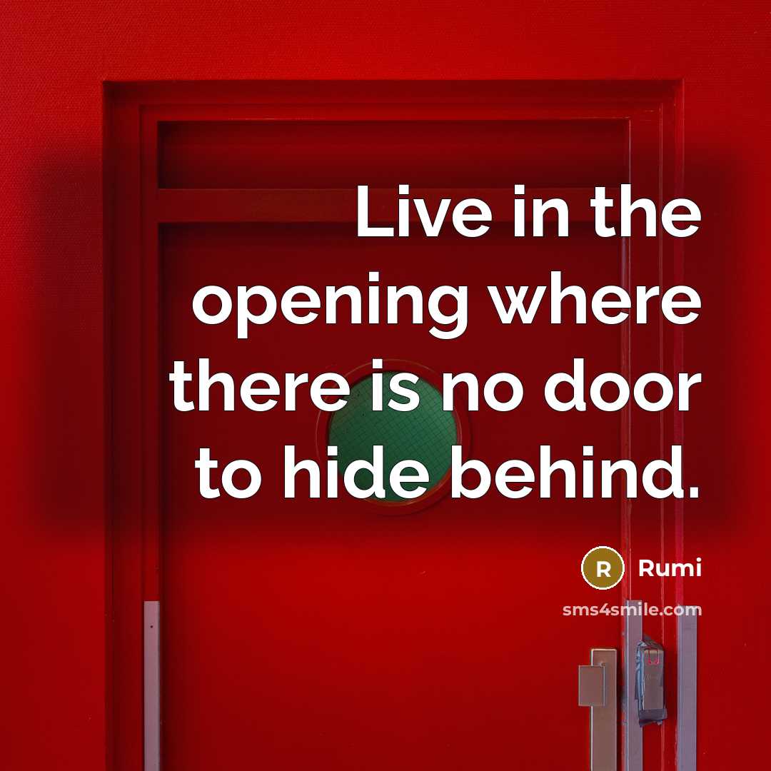 “Live in the opening where there is no door to hide behind.” quote by Rumi