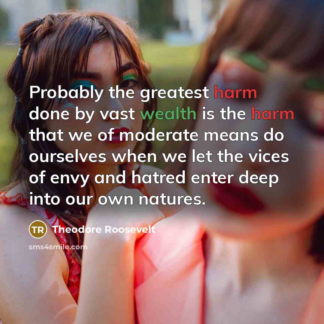 “Probably the greatest harm done by vast wealth is the harm that we of moderate means do ourselves when we let the vices of envy and hatred enter deep into our own natures.” quote by Theodore Roosevelt