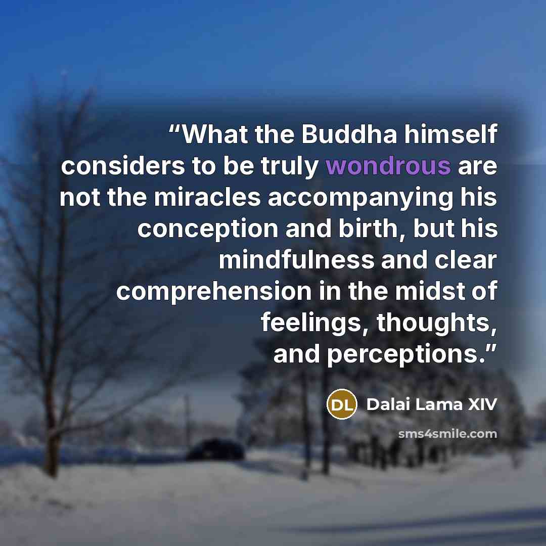 “What the Buddha himself considers to be truly wondrous are not the miracles accompanying his conception and birth, but his mindfulness and clear comprehension in the midst of feelings, thoughts, and perceptions.” quote by Dalai Lama XIV