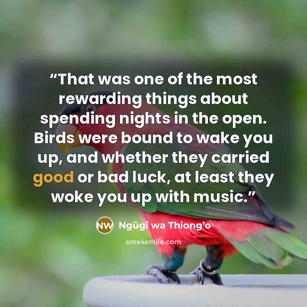 “That was one of the most rewarding things about spending nights in the open. Birds were bound to wake you up, and whether they carried good or bad luck, at least they woke you up with music.” quote by Ngũgĩ wa Thiong’o