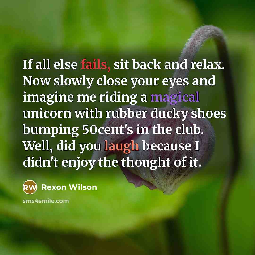 “If all else fails, sit back and relax. Now slowly close your eyes and imagine me riding a magical unicorn with rubber ducky shoes bumping 50cent's in the club. Well, did you laugh because I didn't enjoy the thought of it.” quote by Rexon Wilson