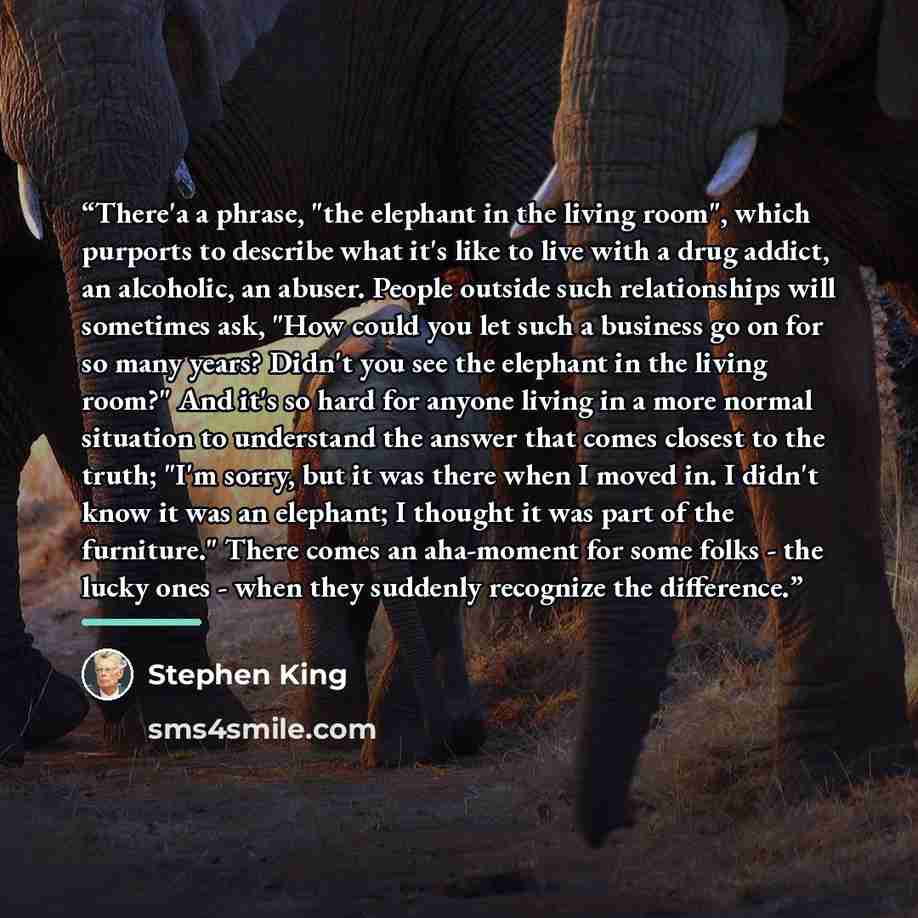 “There'a a phrase, "the elephant in the living room", which purports to describe what it's like to live with a drug addict, an alcoholic, an abuser. People outside such relationships will sometimes ask, "How could you let such a business go on for so many years? Didn't you see the elephant in the…” quote by Stephen King