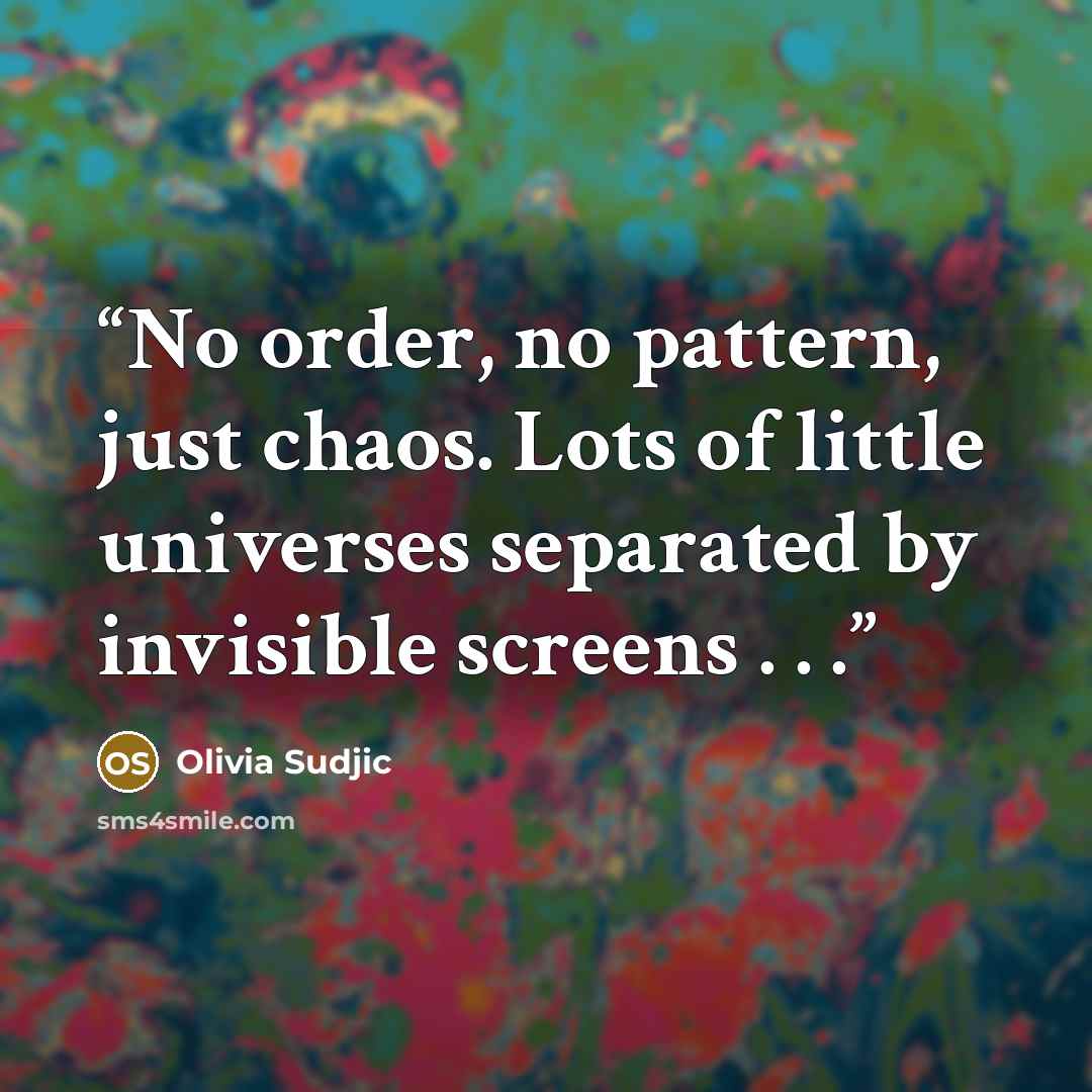 “No order, no pattern, just chaos. Lots of little universes separated by invisible screens . . .” quote by Olivia Sudjic