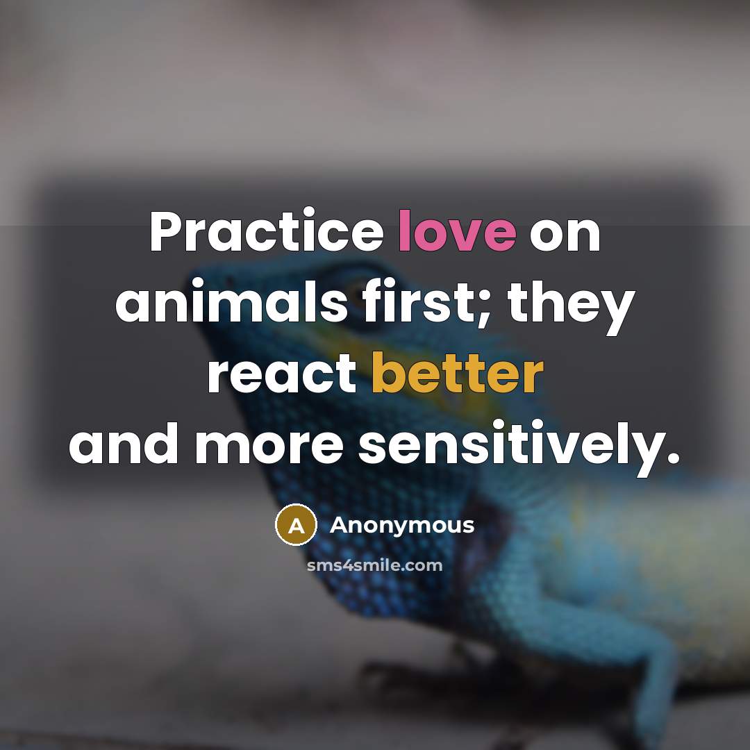 “Practice love on animals first; they react better and more sensitively.” quote by Anonymous
