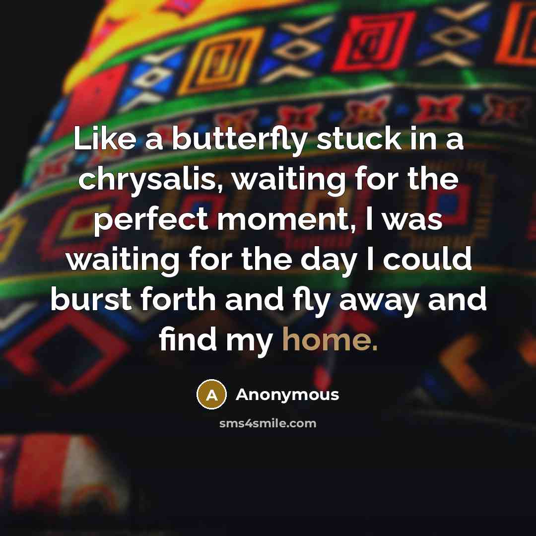 “Like a butterfly stuck in a chrysalis, waiting for the perfect moment, I was waiting for the day I could burst forth and fly away and find my home.” quote by Anonymous