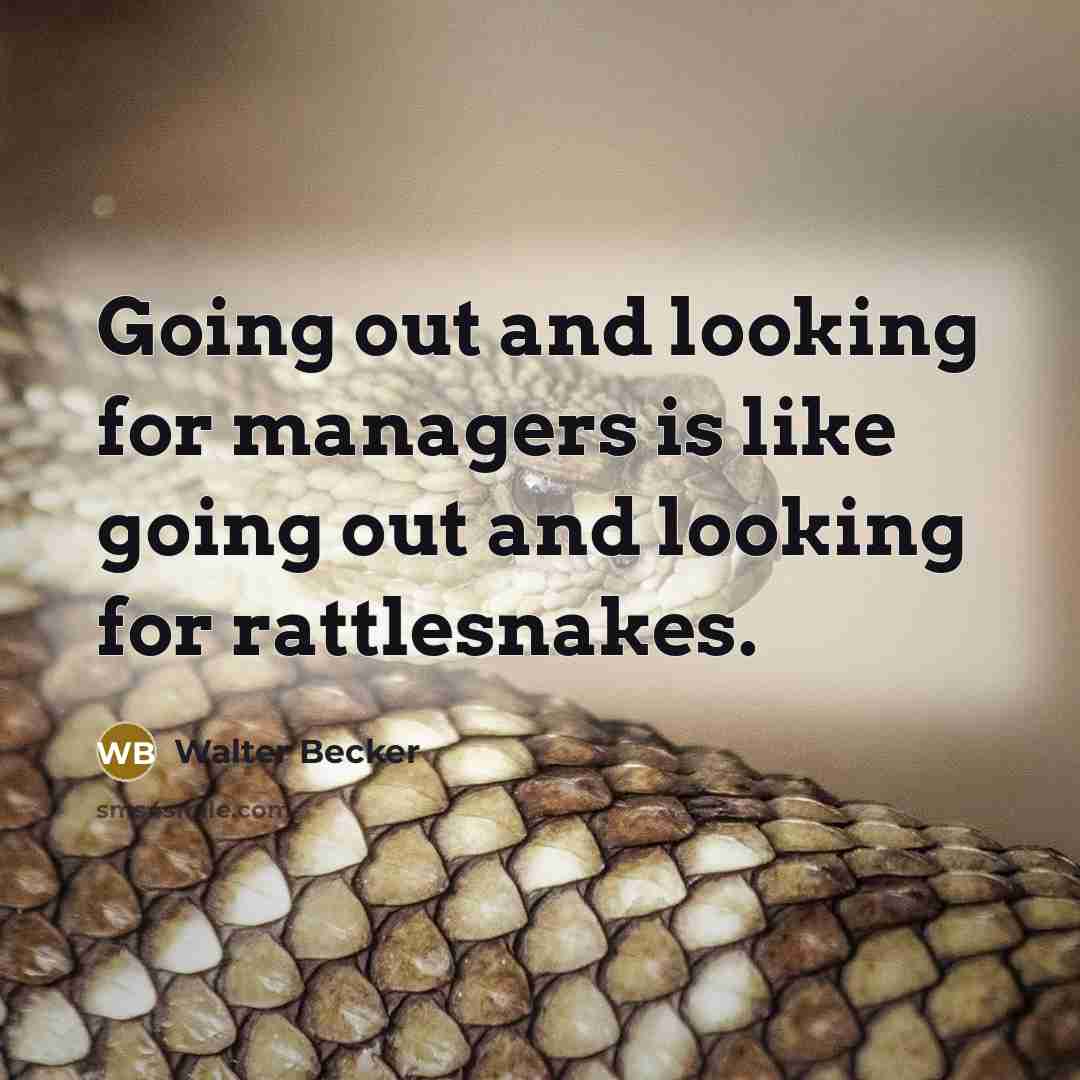 “Going out and looking for managers is like going out and looking for rattlesnakes.” quote by Walter Becker
