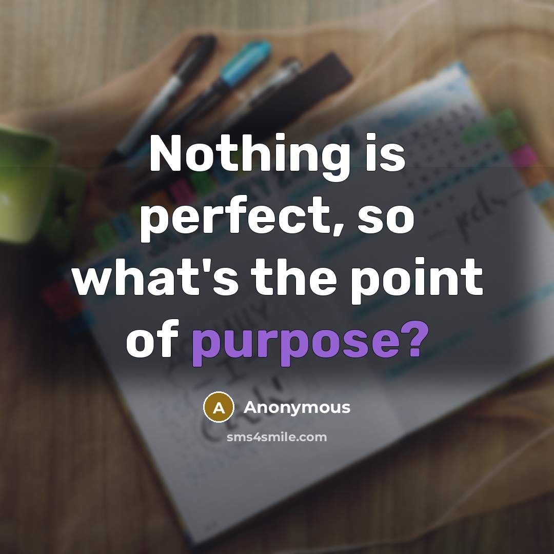 “Nothing is perfect, so what's the point of purpose?” quote by Anonymous