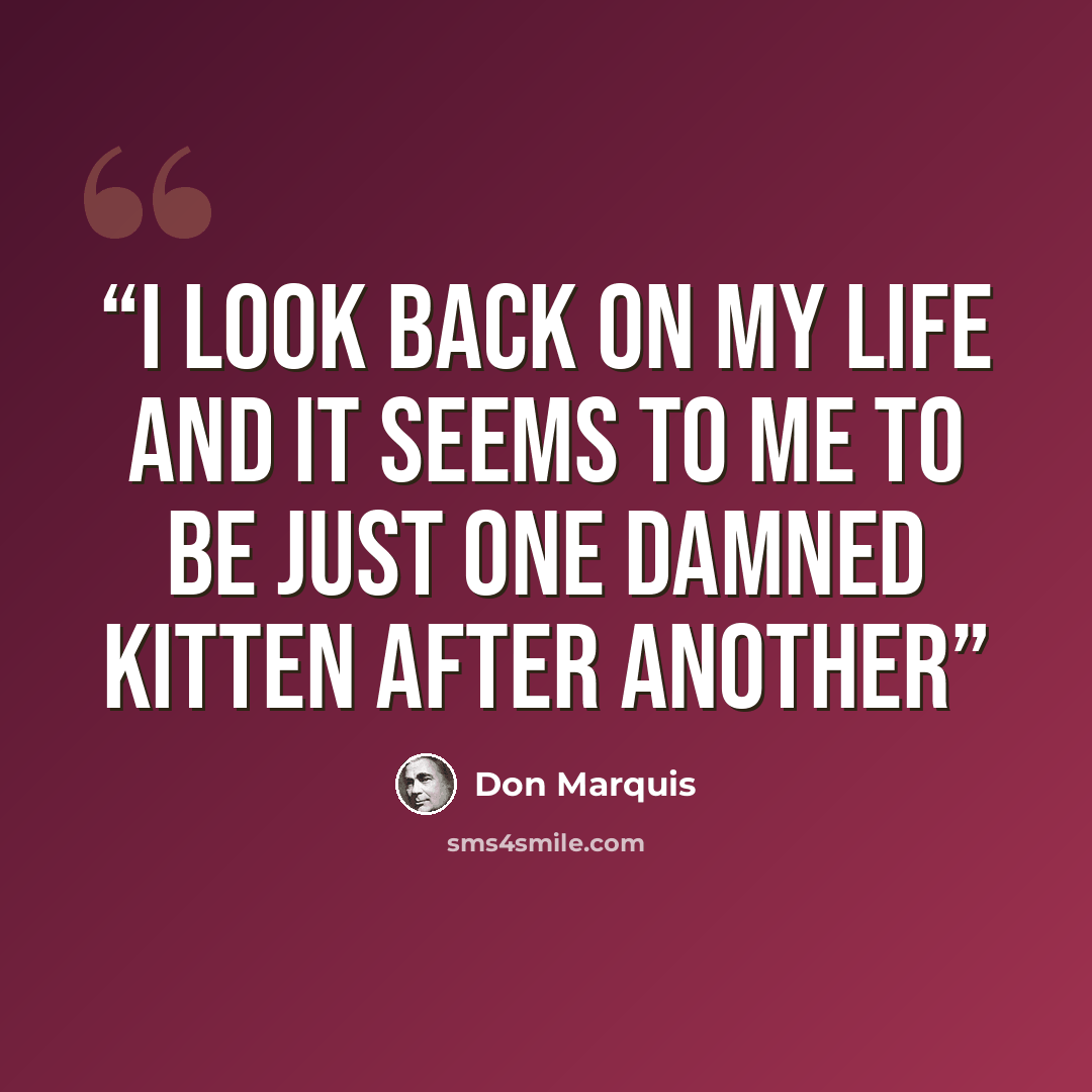 “i look back on my life and it seems to me to be just one damned kitten after another” quote by Don Marquis