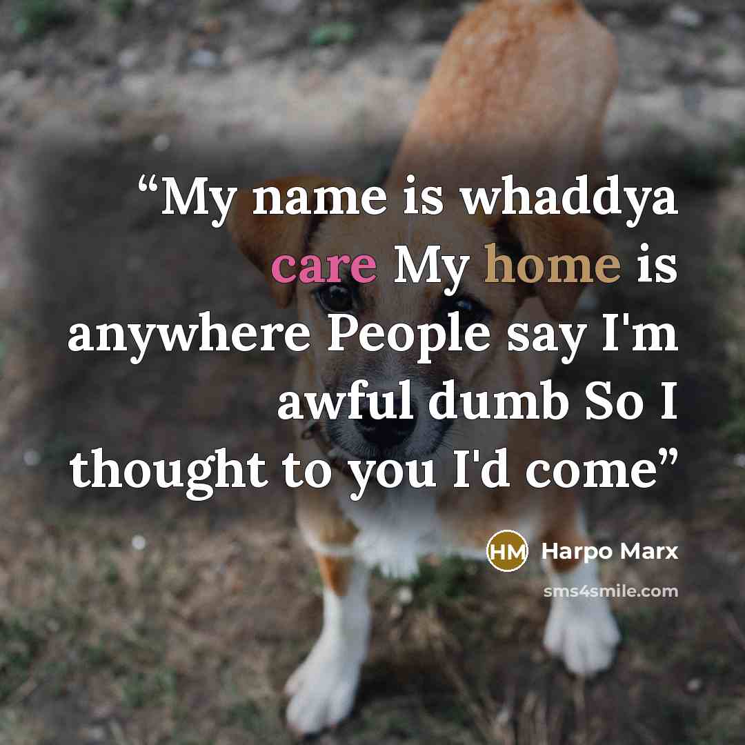 “My name is whaddya care My home is anywhere People say I'm awful dumb So I thought to you I'd come” quote by Harpo Marx