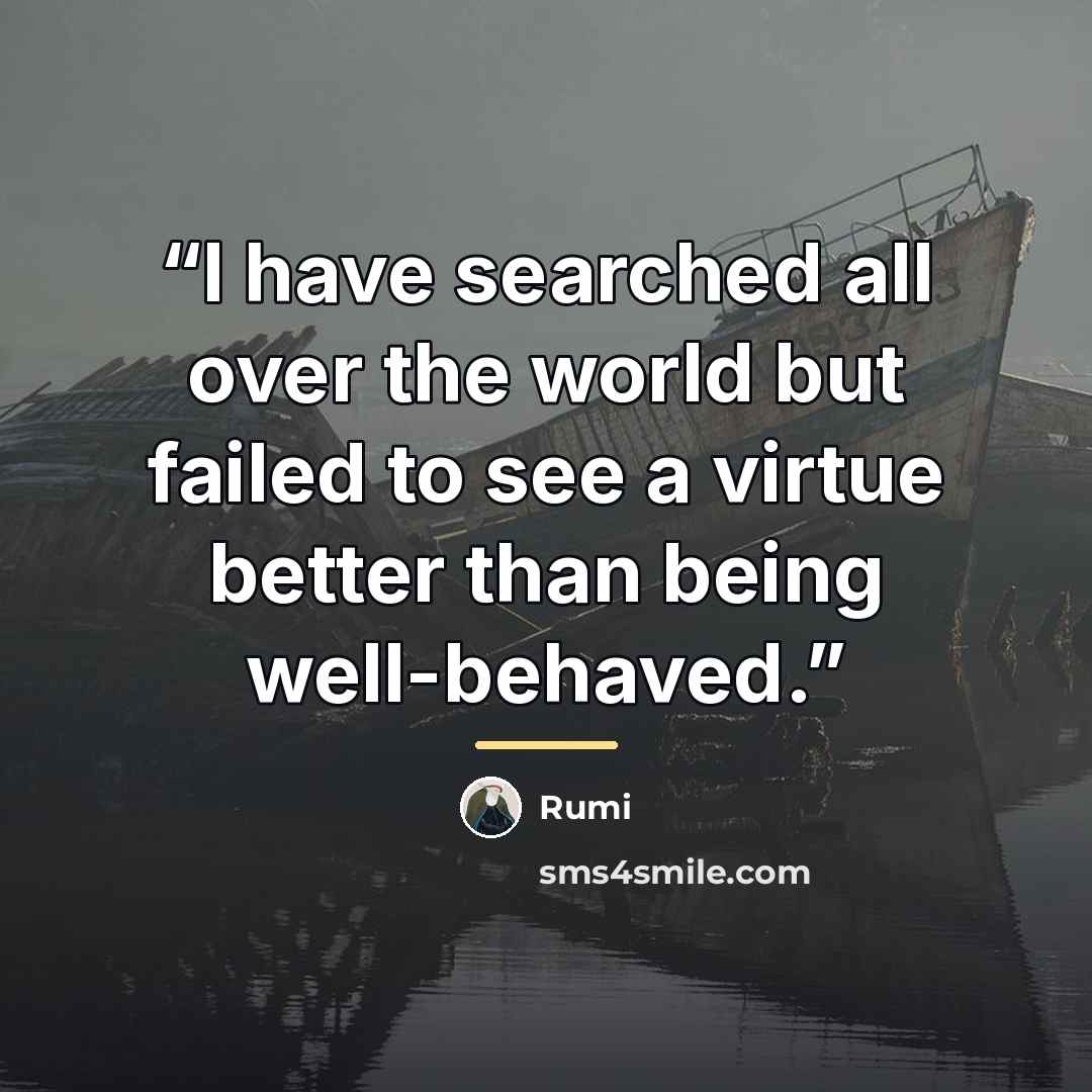 “I have searched all over the world but failed to see a virtue better than being well-behaved.” quote by Rumi