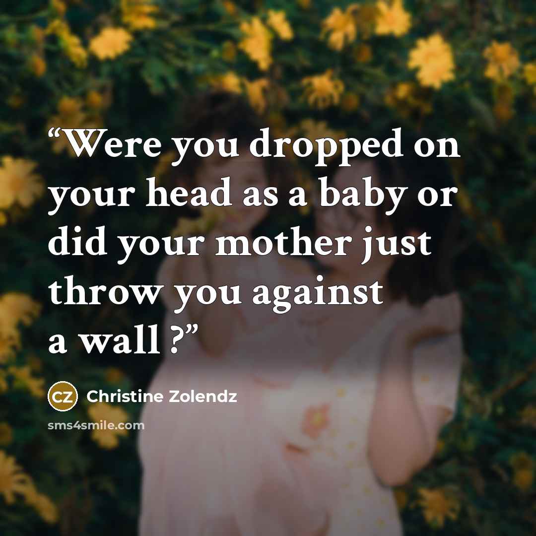 “Were you dropped on your head as a baby or did your mother just throw you against a wall ?” quote by Christine Zolendz