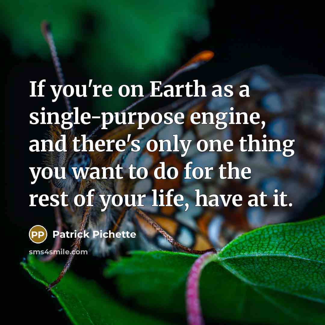 “If you're on Earth as a single-purpose engine, and there's only one thing you want to do for the rest of your life, have at it.” quote by Patrick Pichette