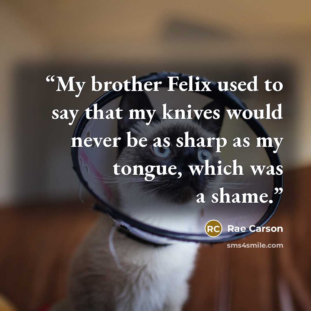 “My brother Felix used to say that my knives would never be as sharp as my tongue, which was a shame.” quote by Rae Carson