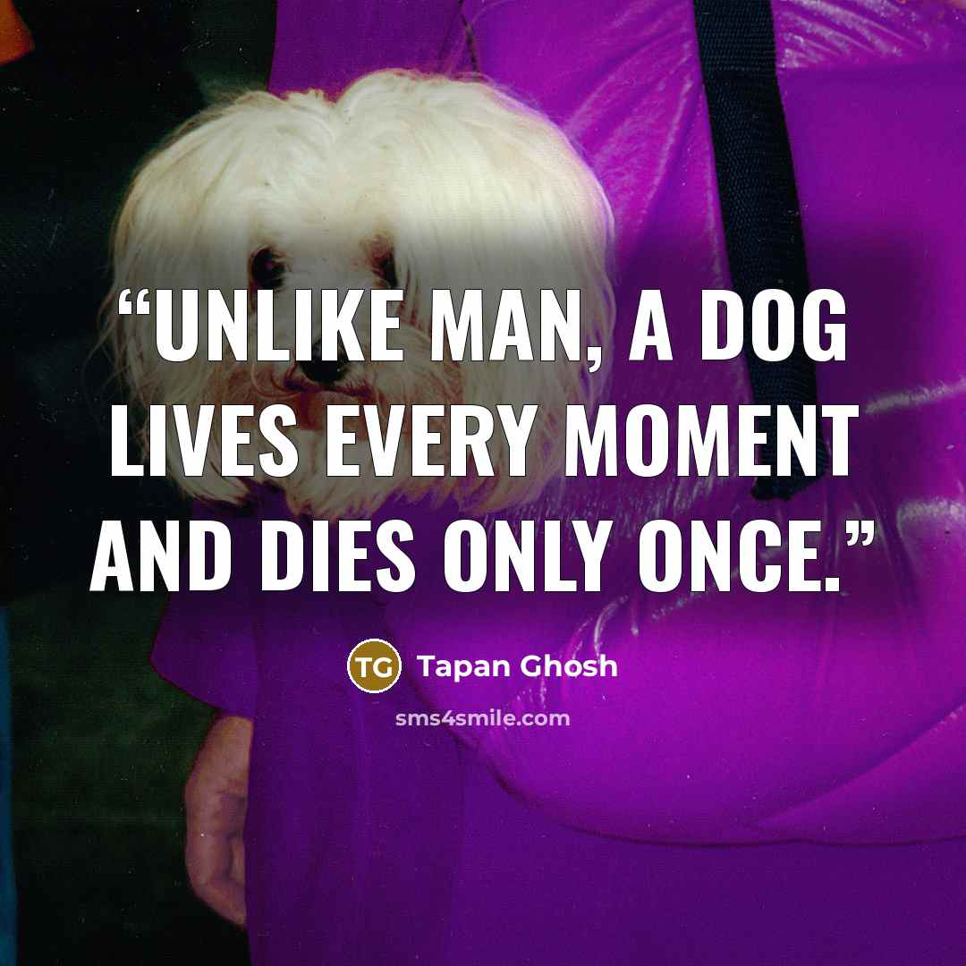 “Unlike man, a dog lives every moment and dies only once.” quote by Tapan Ghosh