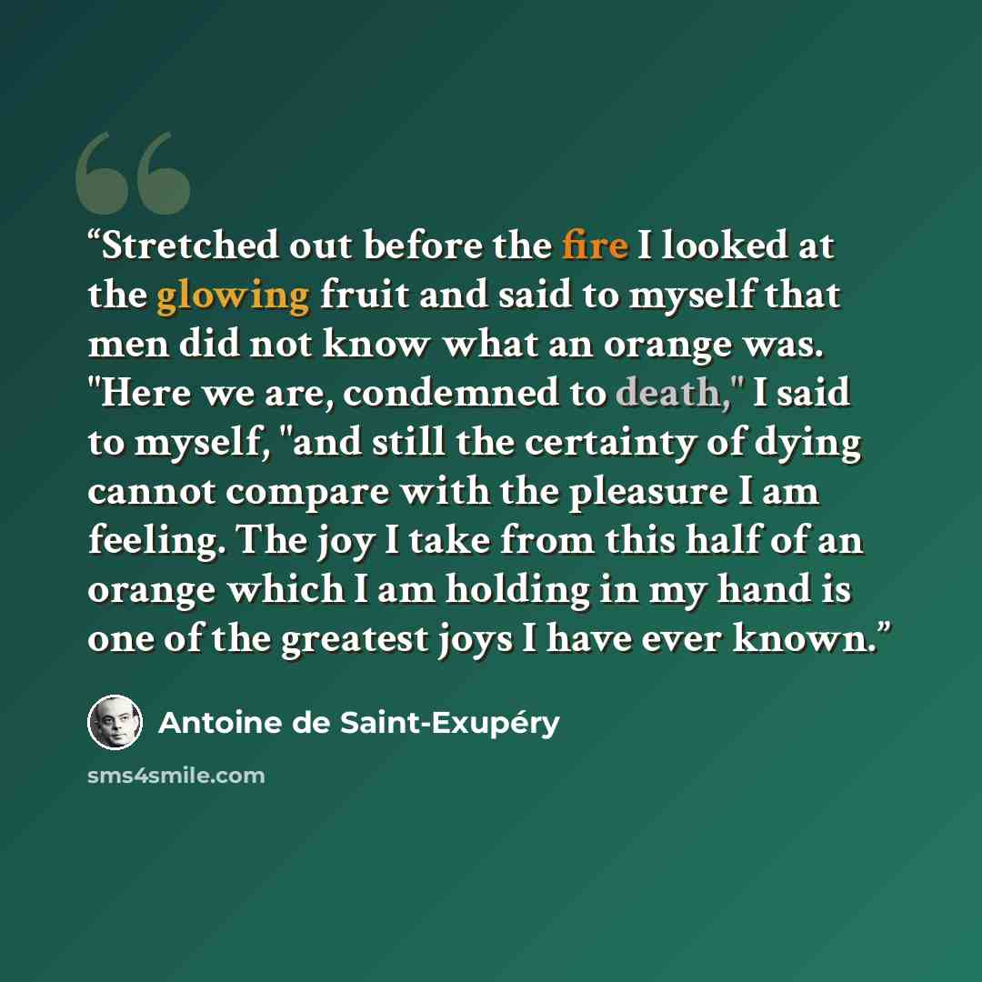 “Stretched out before the fire I looked at the glowing fruit and said to myself that men did not know what an orange was. "Here we are, condemned to death," I said to myself, "and still the certainty of dying cannot compare with the pleasure I am feeling. The joy I take from this half of an orange…” quote by Antoine de Saint-Exupéry