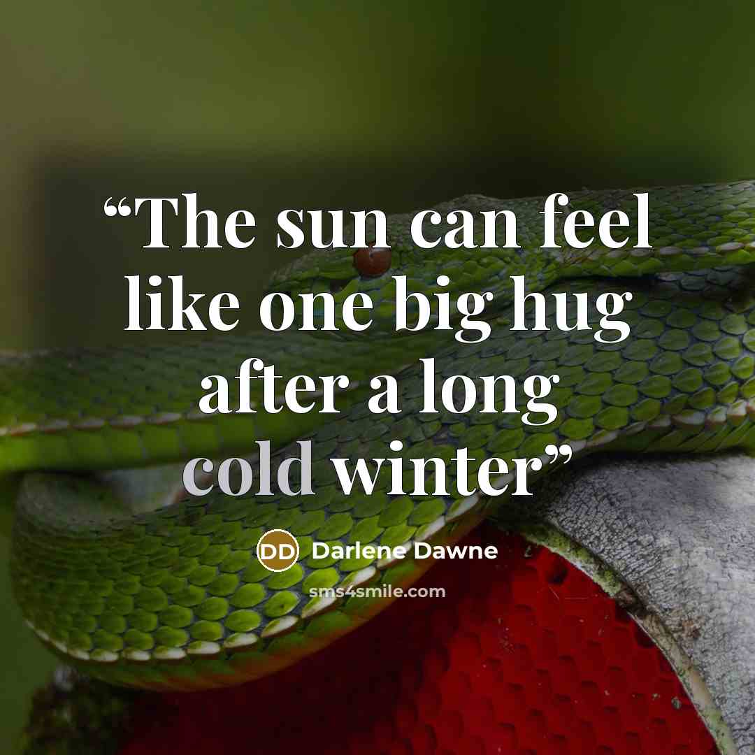 “The sun can feel like one big hug after a long cold winter” quote by Darlene Dawne
