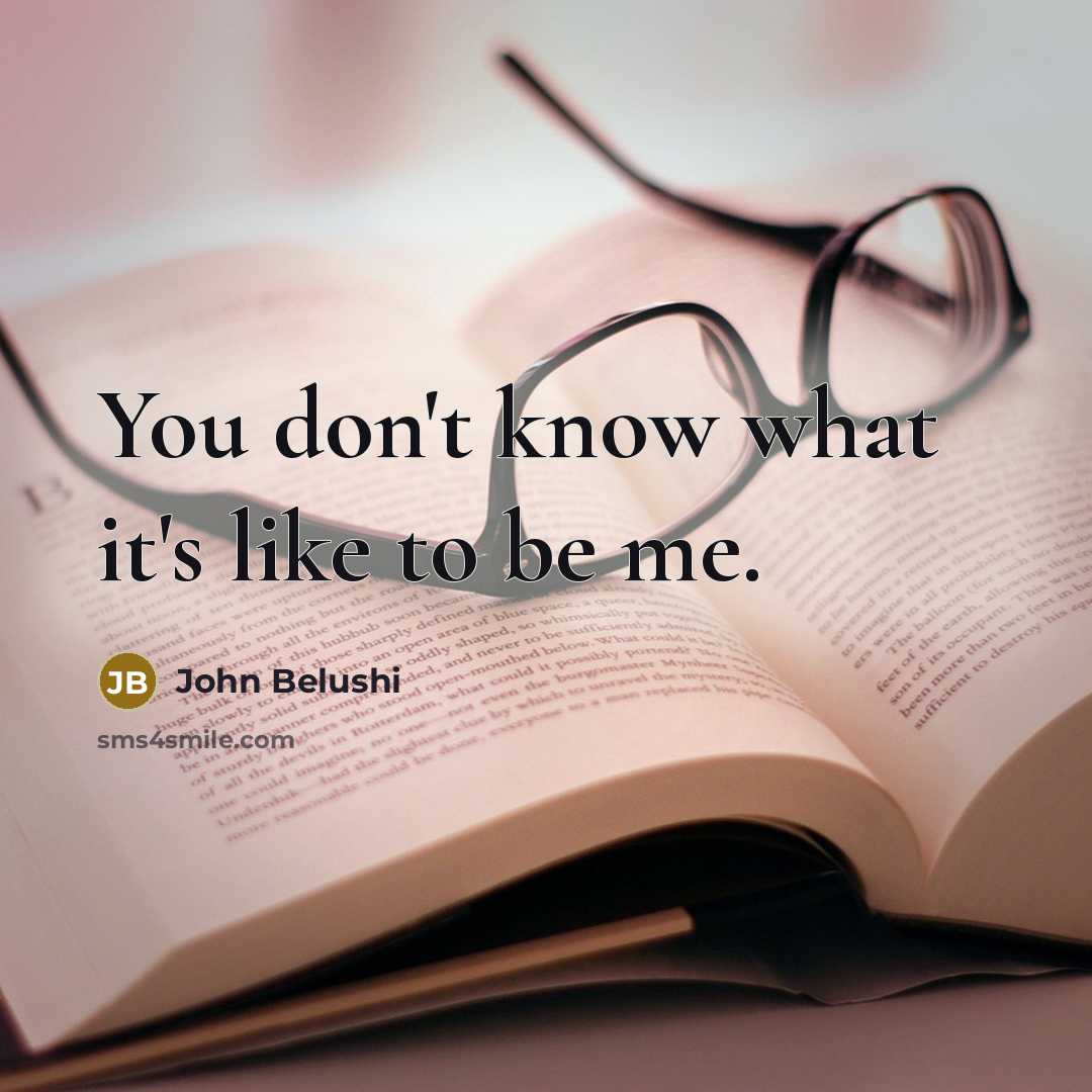 “You don't know what it's like to be me.” quote by John Belushi