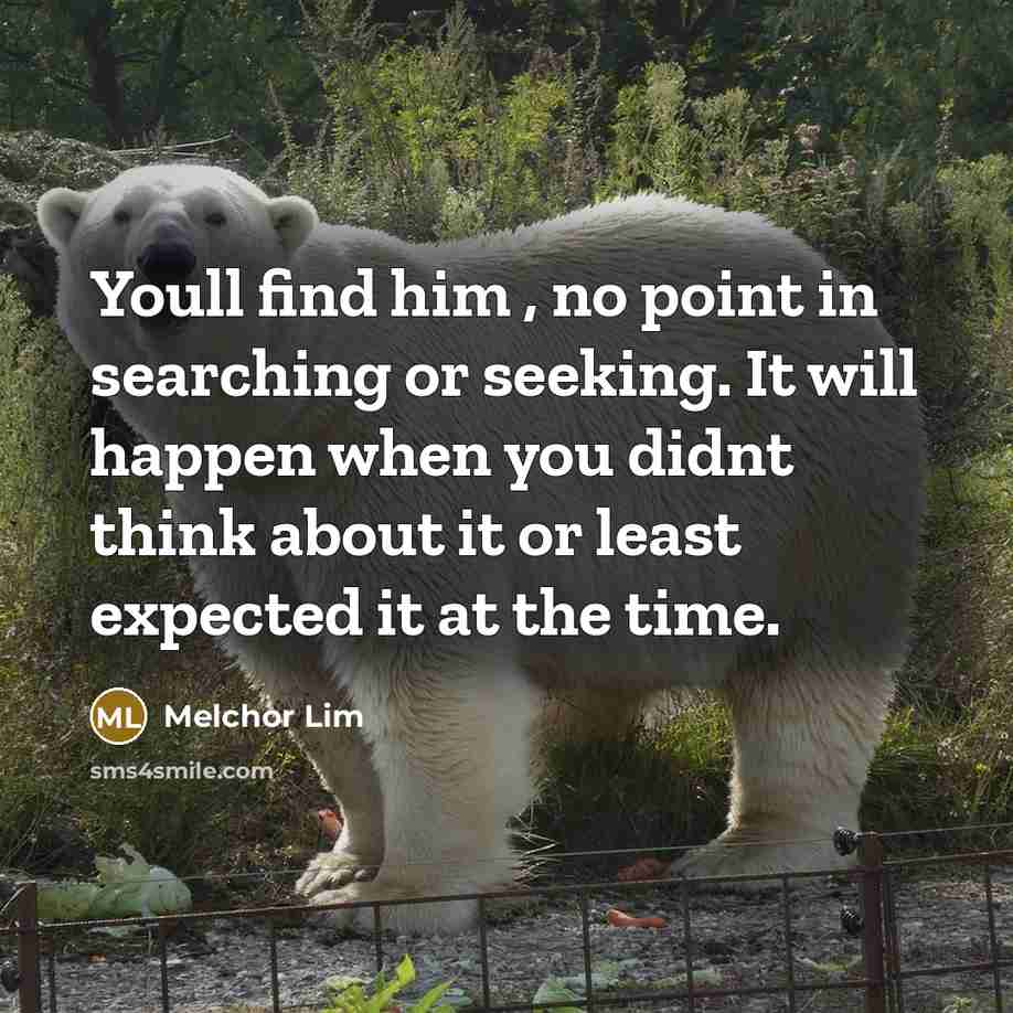 “Youll find him , no point in searching or seeking. It will happen when you didnt think about it or least expected it at the time.” quote by Melchor Lim
