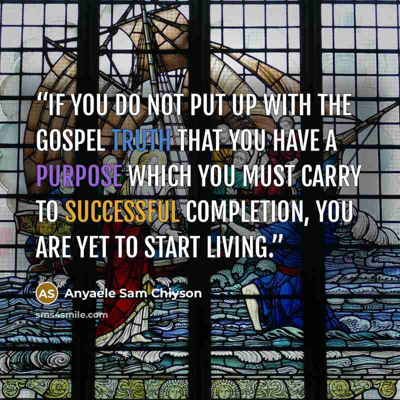 “If you do not put up with the gospel truth that you have a purpose which you must carry to successful completion, you are yet to start living.” quote by Anyaele Sam Chiyson