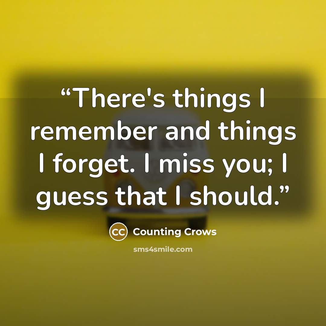 “There's things I remember and things I forget. I miss you; I guess that I should.” quote by Counting Crows