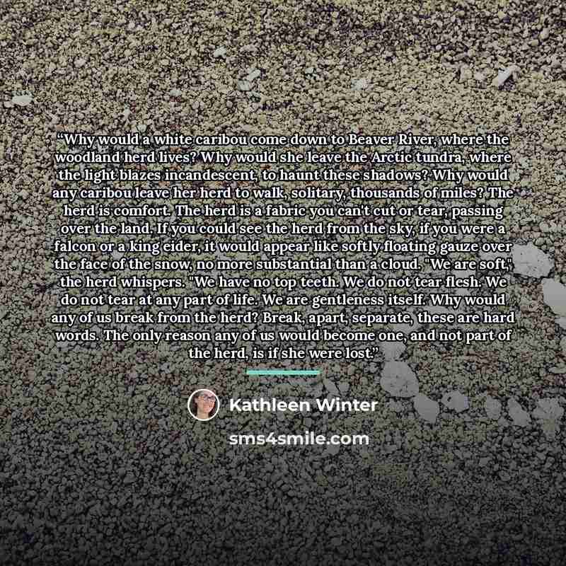 “Why would a white caribou come down to Beaver River, where the woodland herd lives? Why would she leave the Arctic tundra, where the light blazes incandescent, to haunt these shadows? Why would any caribou leave her herd to walk, solitary, thousands of miles? The herd is comfort. The herd is a…” quote by Kathleen Winter
