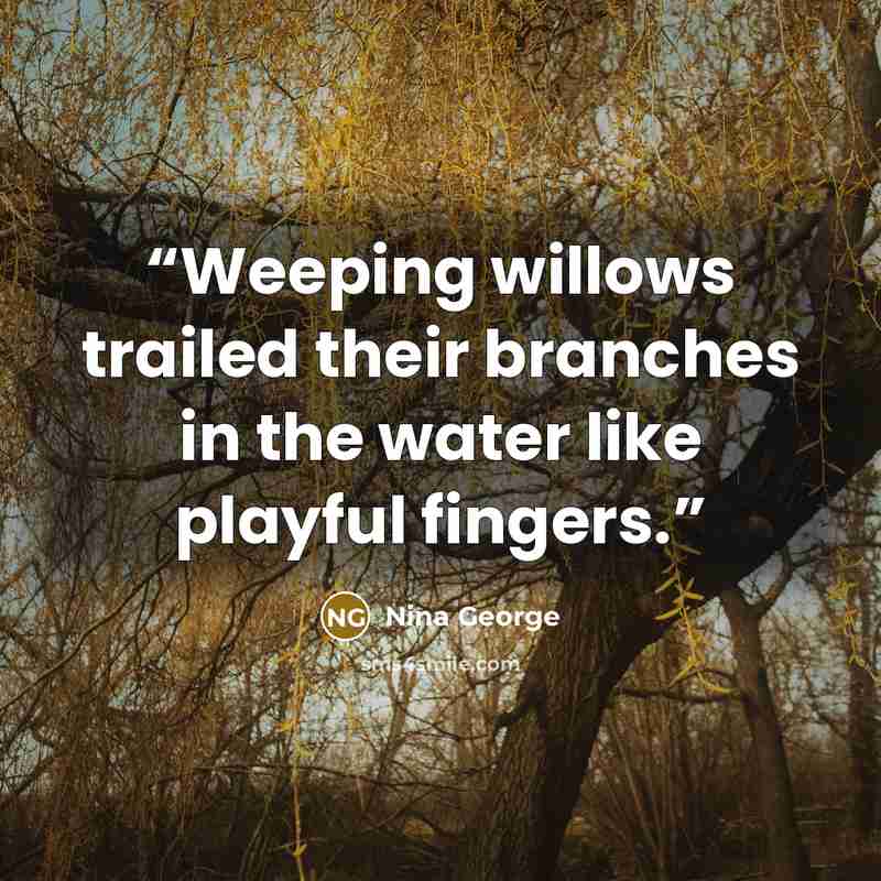 “Weeping willows trailed their branches in the water like playful fingers.” quote by Nina George