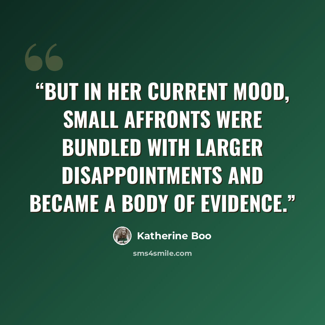 “But in her current mood, small affronts were bundled with larger disappointments and became a body of evidence.” quote by Katherine Boo
