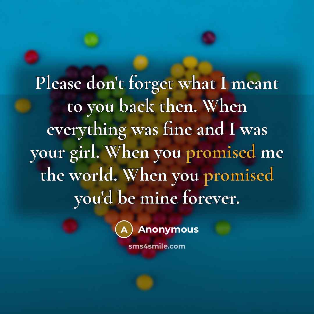 “Please don't forget what I meant to you back then. When everything was fine and I was your girl. When you promised me the world. When you promised you'd be mine forever.” quote by Anonymous