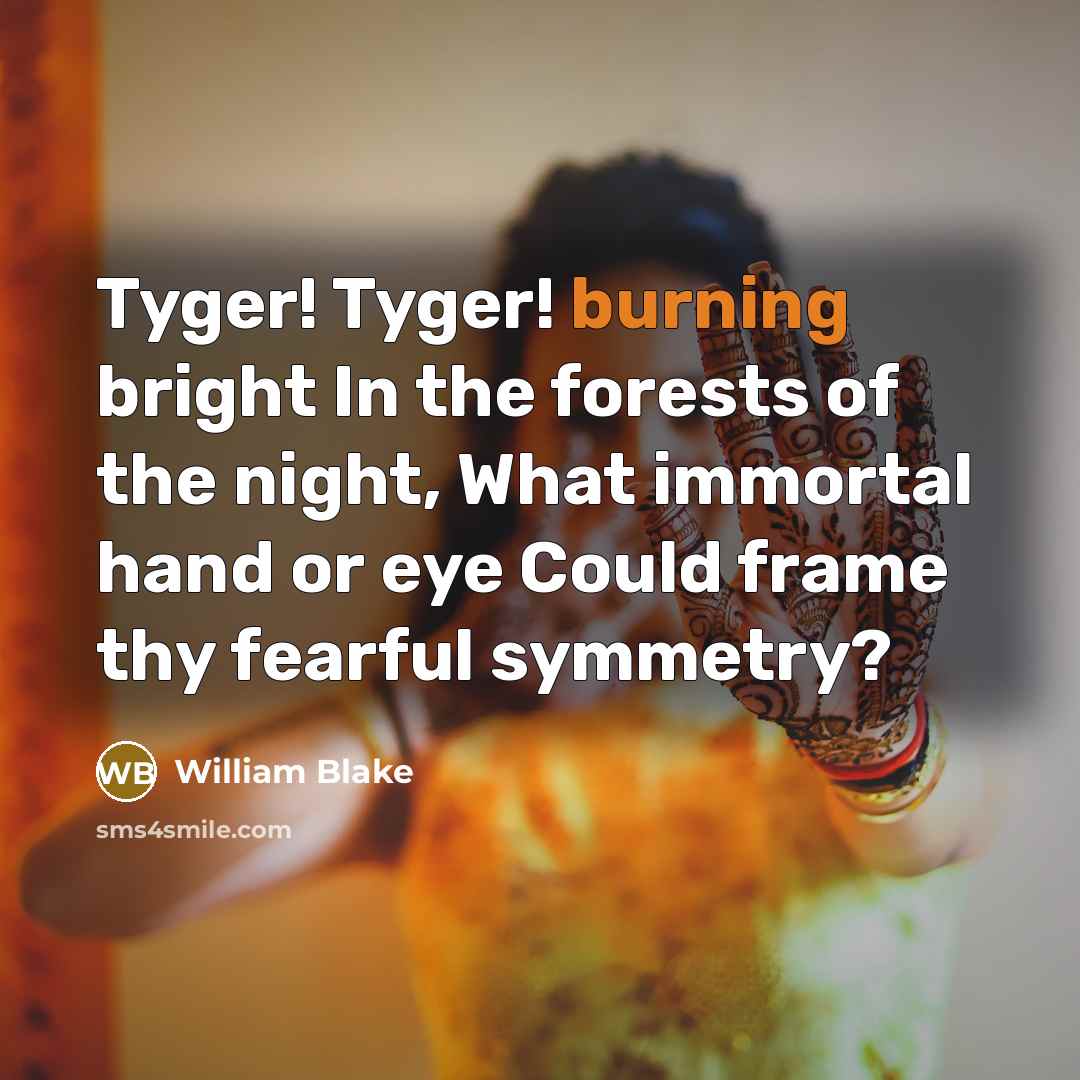 “Tyger! Tyger! burning bright In the forests of the night, What immortal hand or eye Could frame thy fearful symmetry?” quote by William Blake