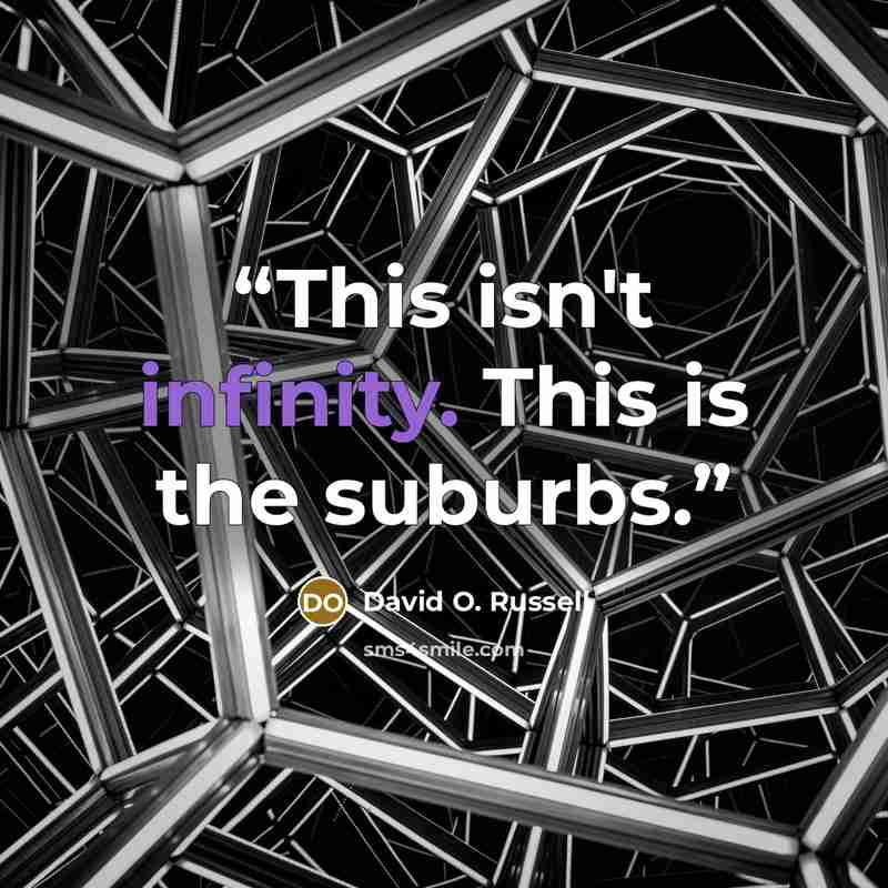 “This isn't infinity. This is the suburbs.” quote by David O. Russell