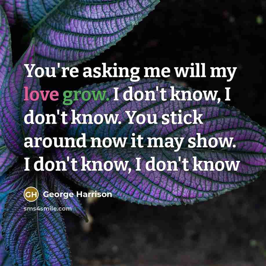 “You're asking me will my love grow. I don't know, I don't know. You stick around now it may show. I don't know, I don't know” quote by George Harrison