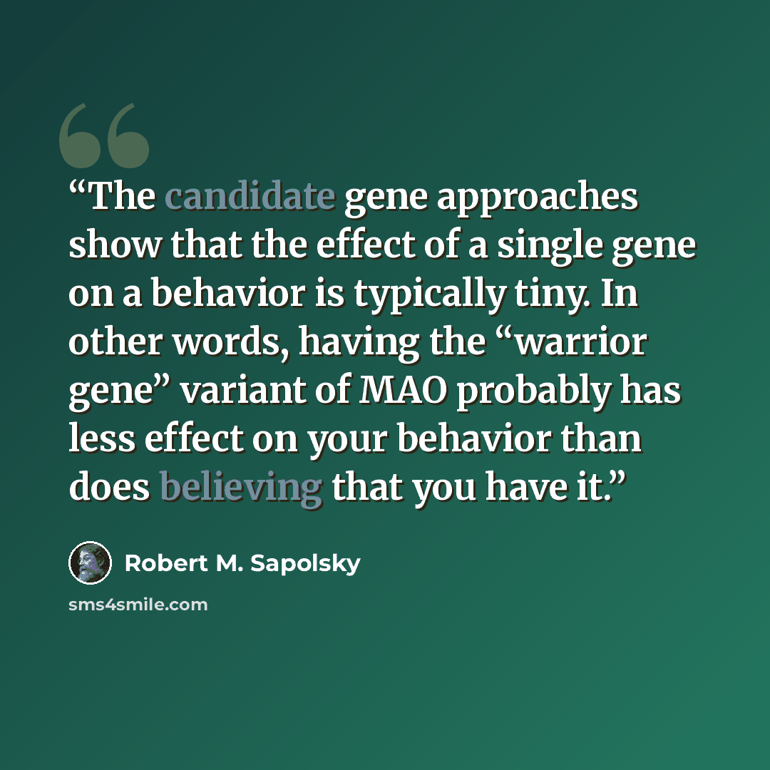 “The candidate gene approaches show that the effect of a single gene on a behavior is typically tiny. In other words, having the “warrior gene” variant of MAO probably has less effect on your behavior than does believing that you have it.” quote by Robert M. Sapolsky