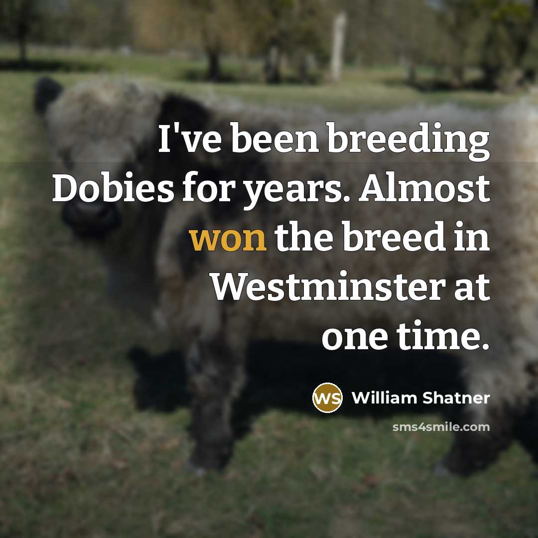 “I've been breeding Dobies for years. Almost won the breed in Westminster at one time.” quote by William Shatner
