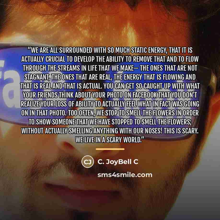 “We are all surrounded with so much static energy, that it is actually crucial to develop the ability to remove that and to flow through the streams in life that we make— the ones that are not stagnant, the ones that are real, the energy that is flowing and that is real and that is actual. You can…” quote by C. JoyBell C