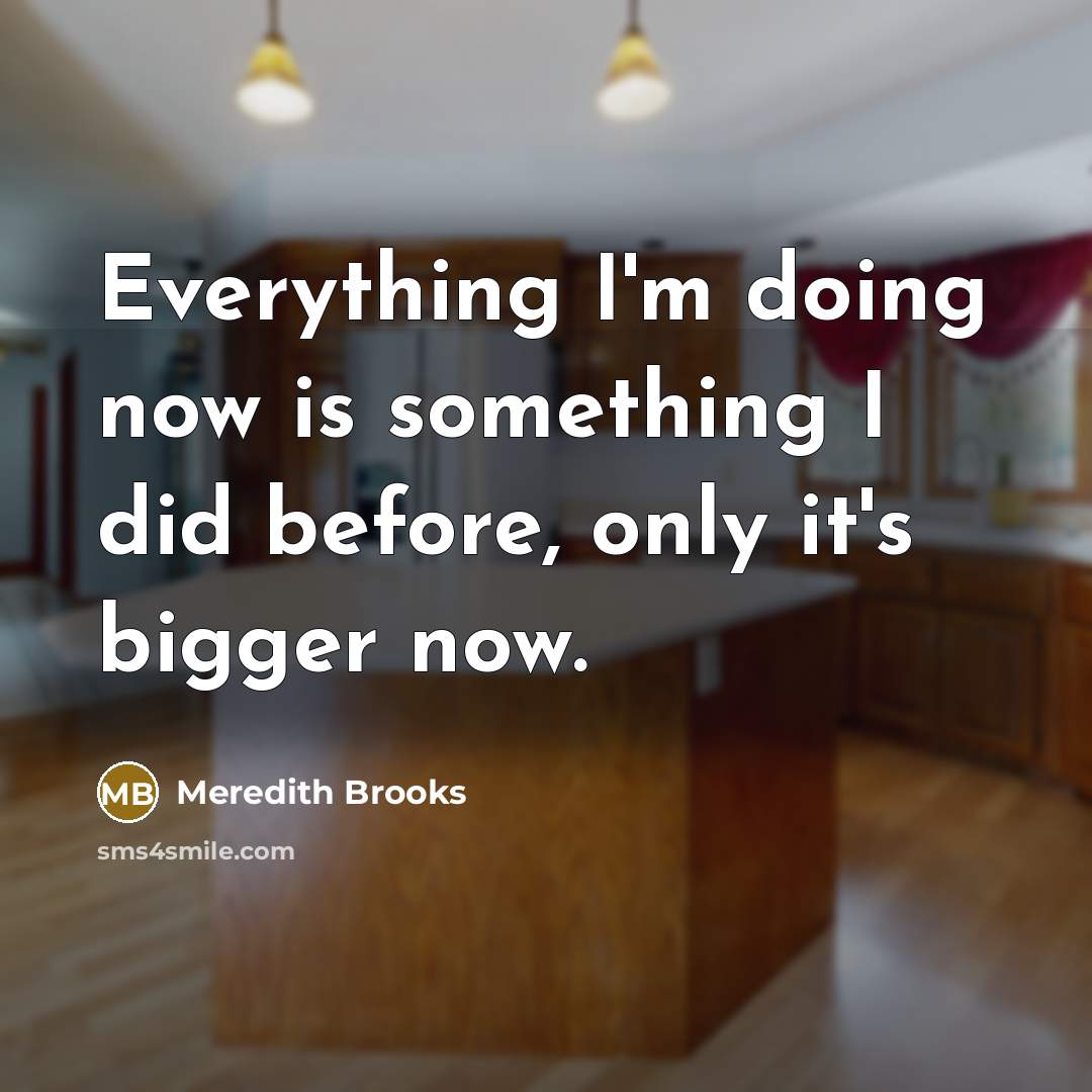 “Everything I'm doing now is something I did before, only it's bigger now.” quote by Meredith Brooks