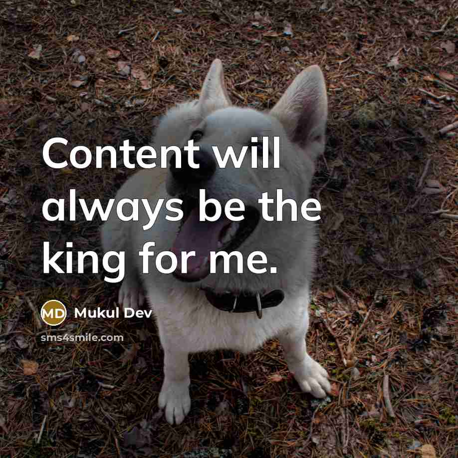 “Content will always be the king for me.” quote by Mukul Dev